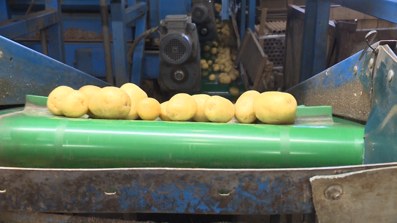 České supermarkety chtějí více potravin z Ukrajiny. Večeřová zmiňuje pesticidy zakázané v EU